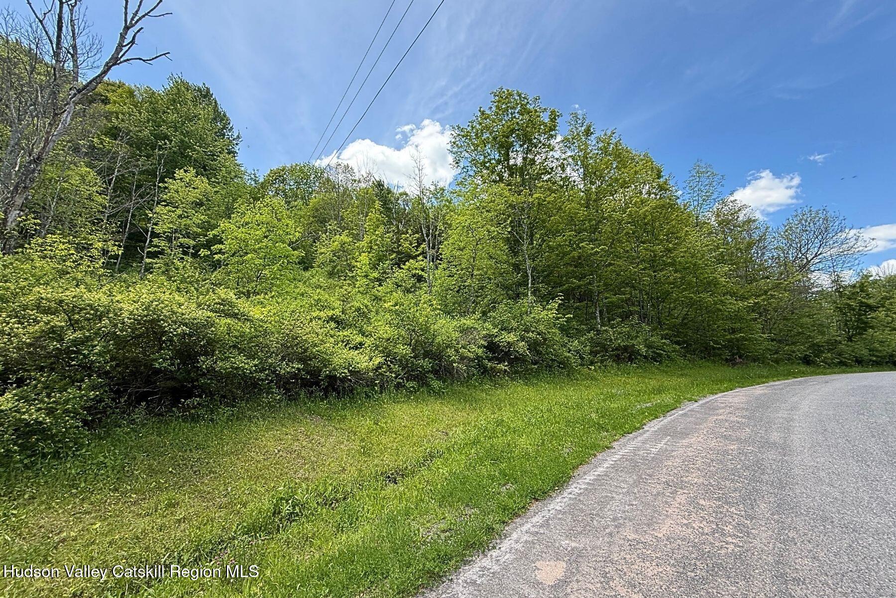 8-11 Henry Williams Road Roxbury, NY 12474 - Photo 3 of 23 3