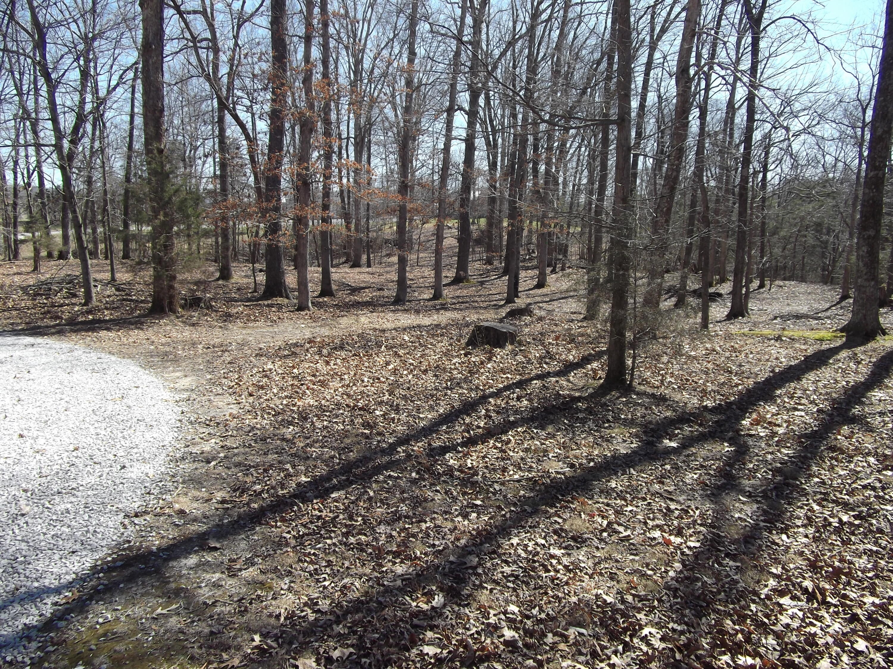 1943 Greenbriar Road Monticello, KY 42633 - Photo 14 of 24 DSCF0426