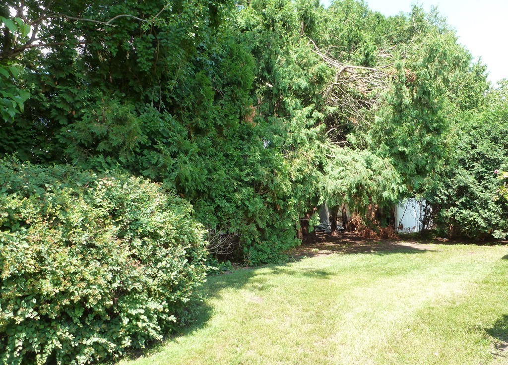 30 Rzasa Drive Chicopee, MA 01013 - Photo 20 of 20 Gallery Image 20
