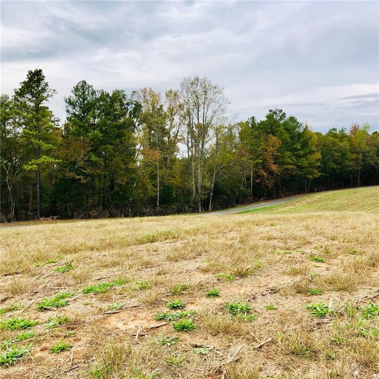 Lot 2 Saggus Road Cartersville, GA 30120 - Photo 1 of 1 Gallery Image 1