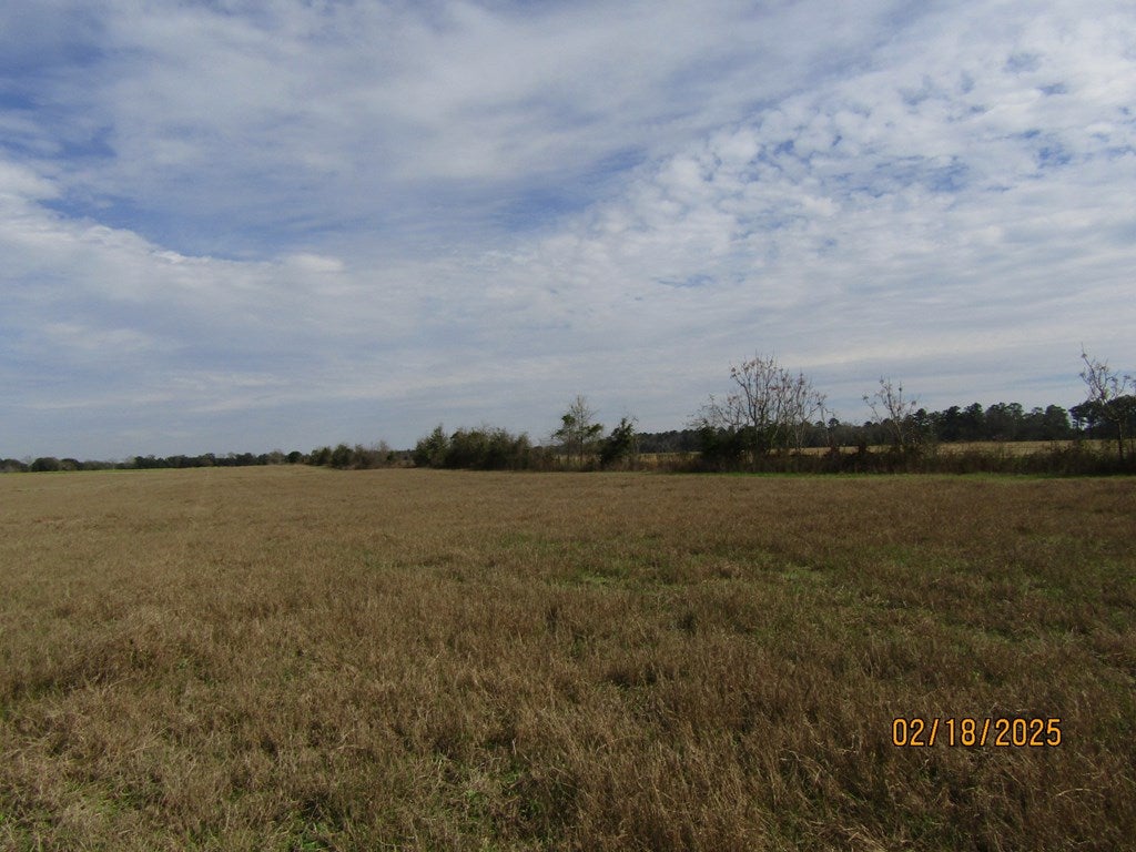 0 Sandy Oaks Road, Unit 3 Newton, GA 39870 - Photo 4 of 7 Gallery Image 4