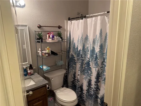 a bathroom with a toilet a sink and shower curtain