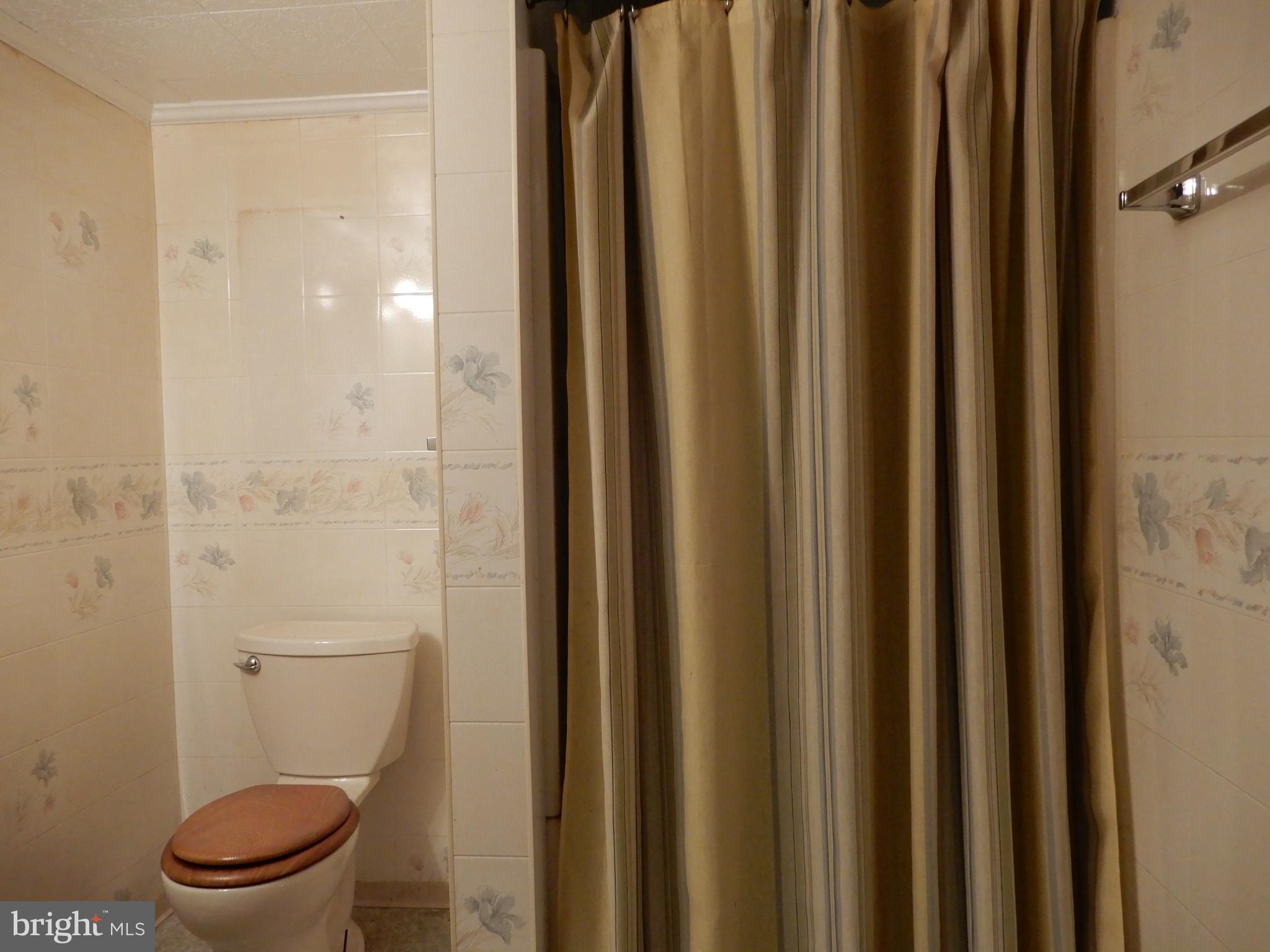 733 Clearmount Road York, PA 17403 - Photo 16 of 18 LL Bath with Shower