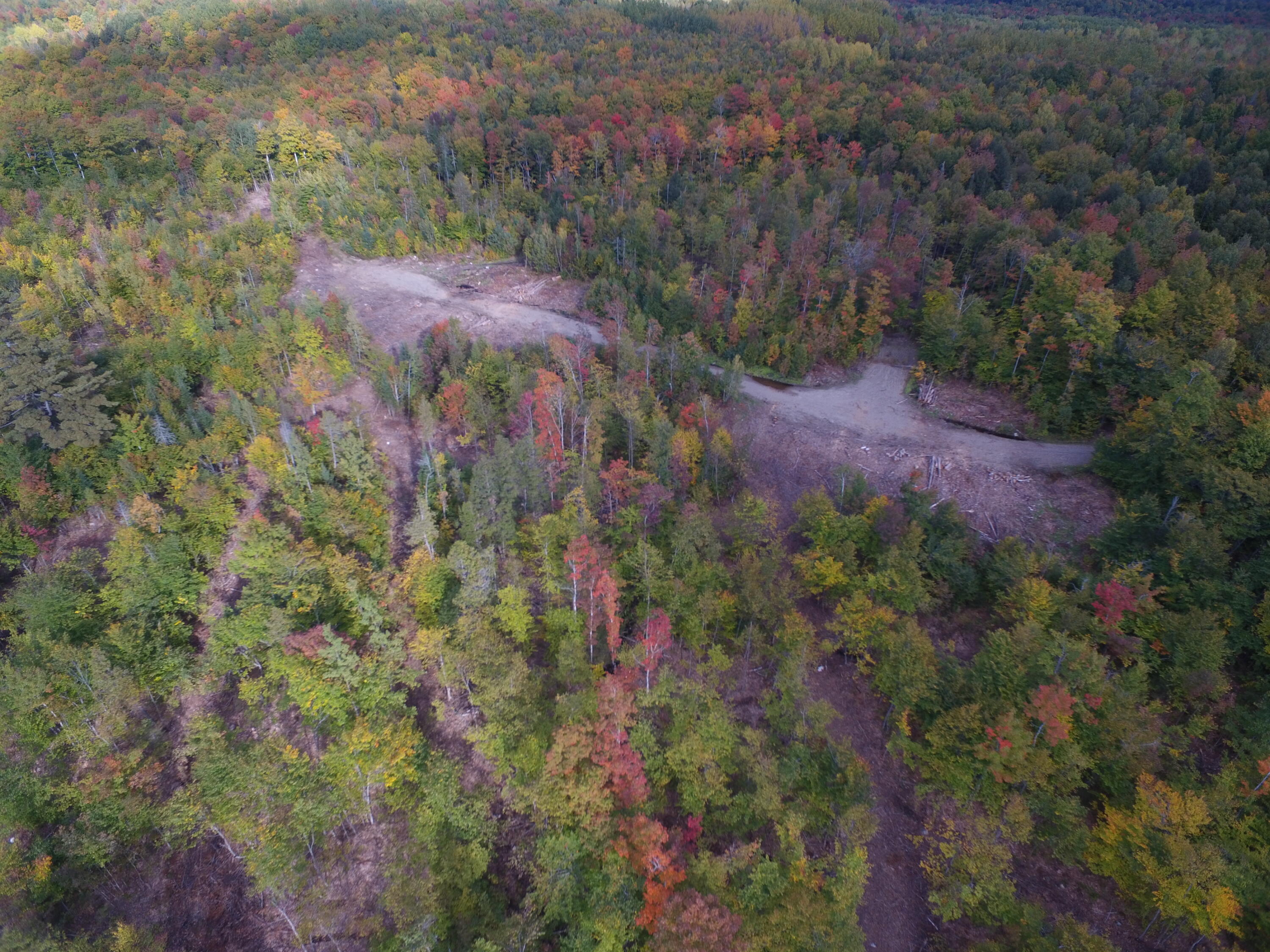 Off Off Clear Cut Lodge Road Springfield, ME 04487 - Photo 11 of 16 DJI_0029