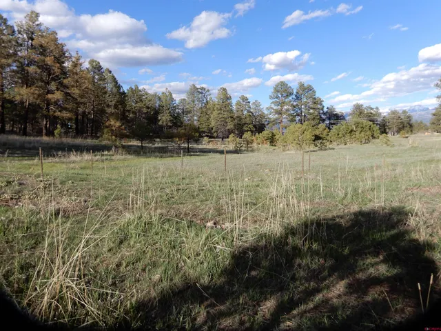 a view of yard covered with snow