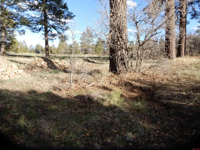 a view of outdoor space with lots of trees