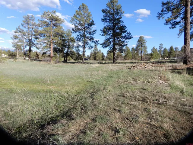 a view of outdoor space with trees
