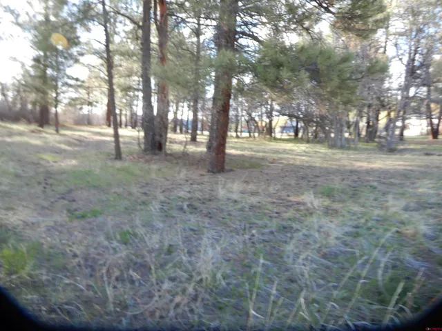 a view of lake with green space