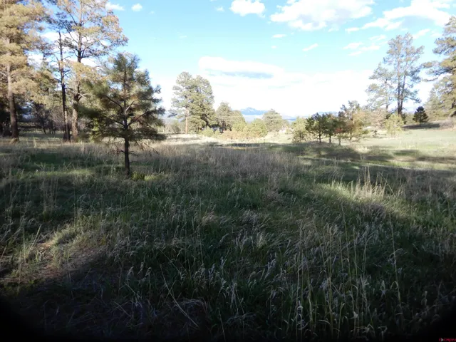 a view of outdoor space with trees