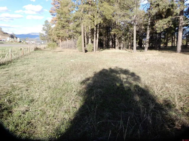 a view of a yard with an outdoor space