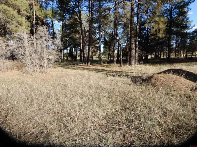 a view of yard covered with snow