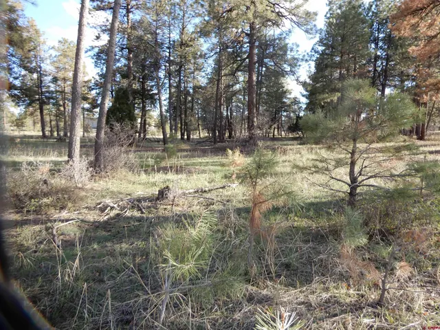 a view of outdoor space with trees