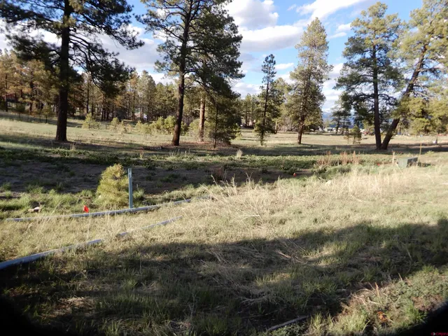 a view of outdoor space and yard