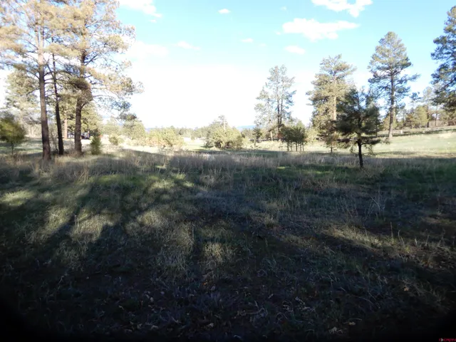 a view of dirt yard with a trees