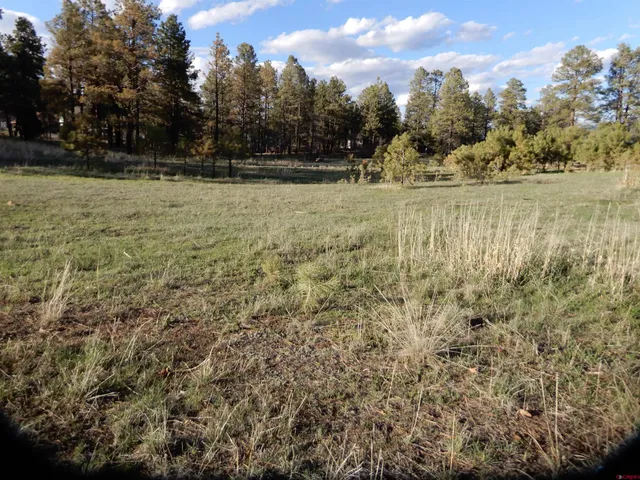 $250,000 | 322 Harman Park Drive, Pagosa Springs, CO 81147