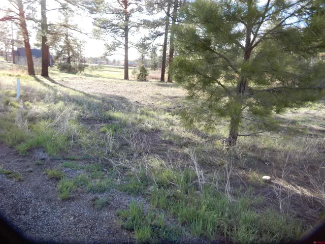 a view of dirt yard with a fountain