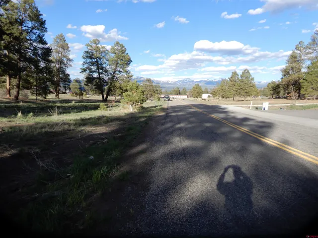 a view of empty yard with tree