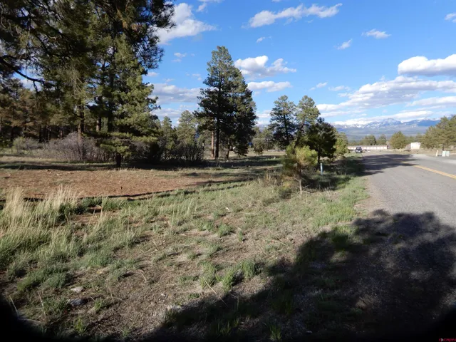 a view of a yard with wooden fence