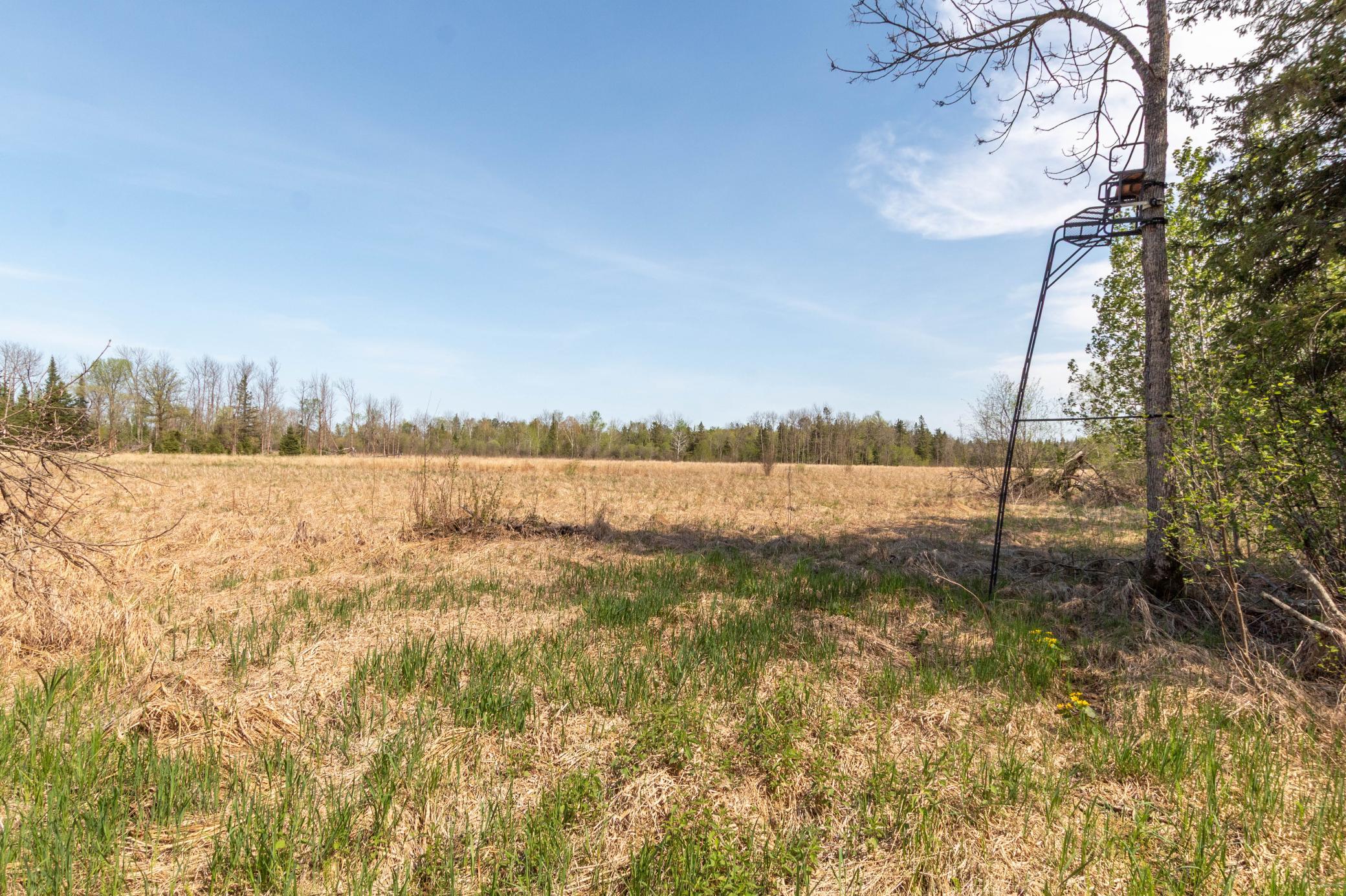 Tbd Tbd Stephani Road Northwest Puposky, MN 56667 - Photo 18 of 24
