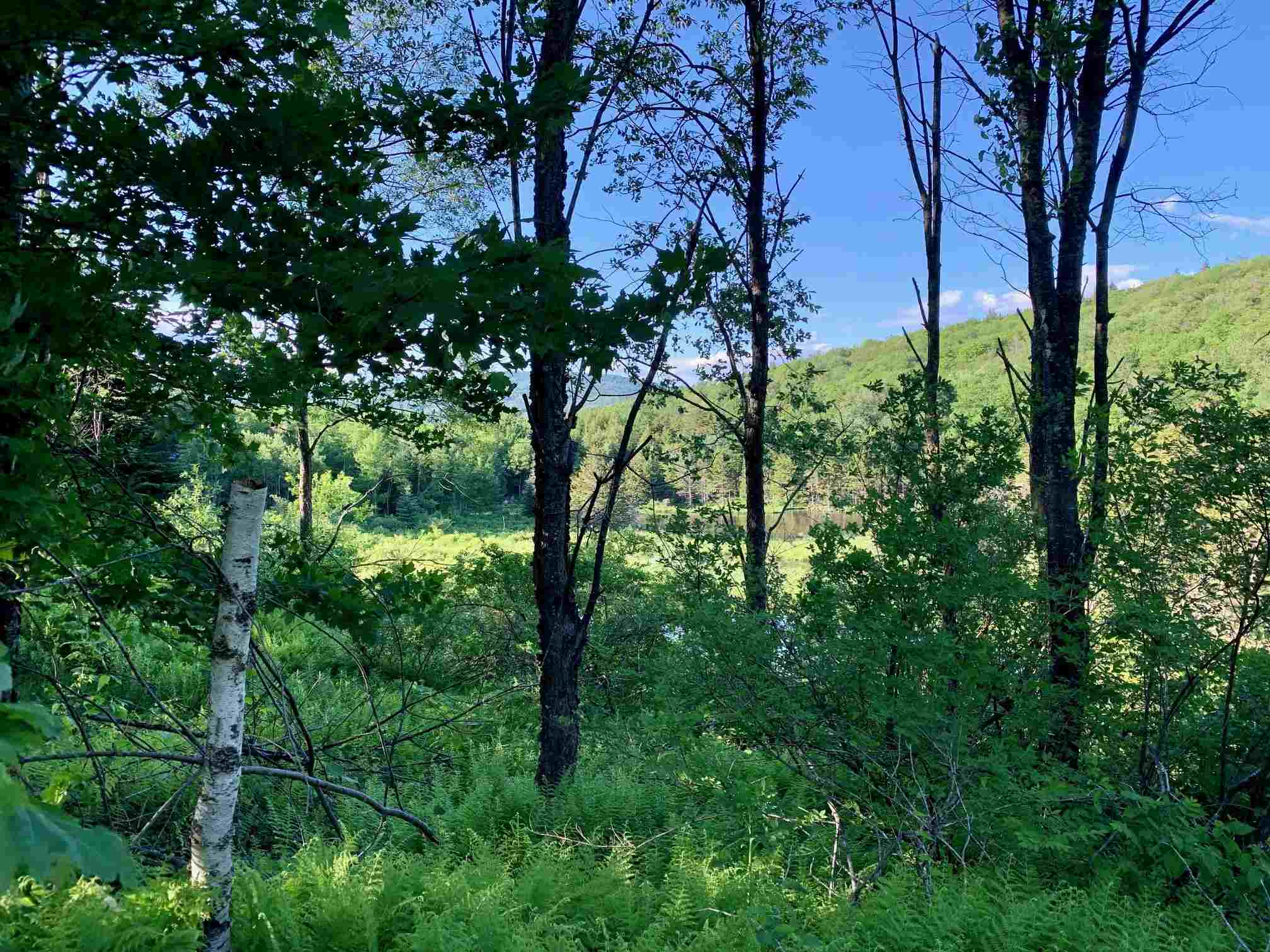1923 German Flats Road, Unit 1A Fayston, VT 05673 - Photo 6 of 22 Gallery Image 6