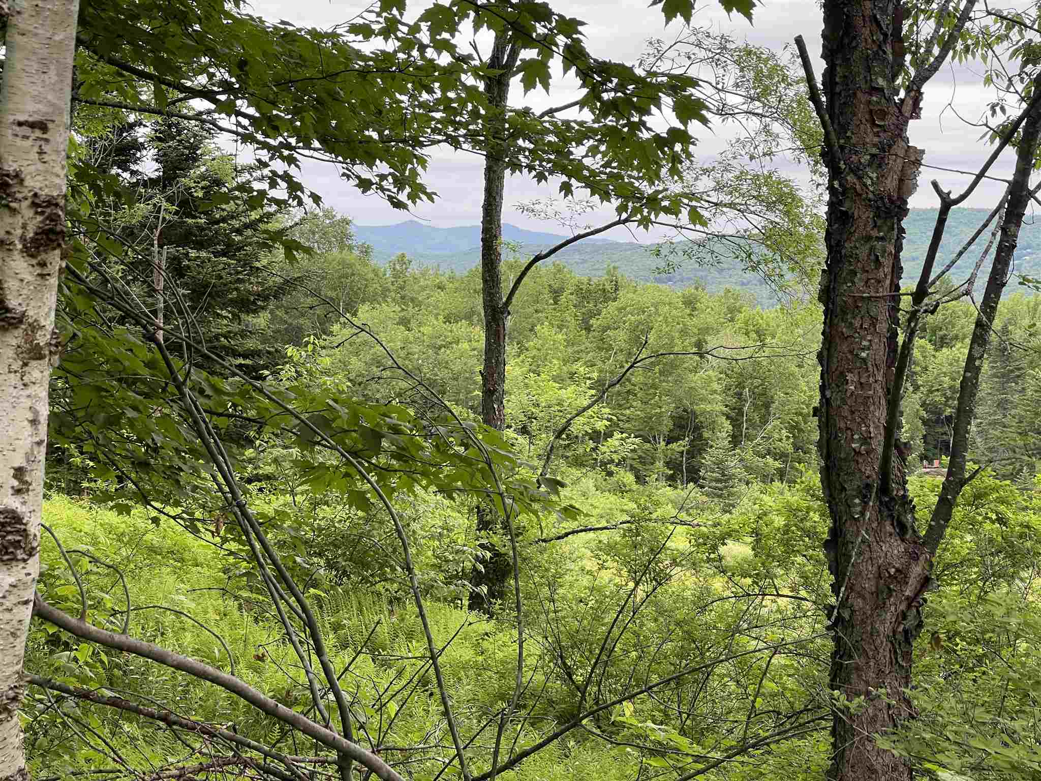 1923 German Flats Road, Unit 1A Fayston, VT 05673 - Photo 10 of 22 Gallery Image 10