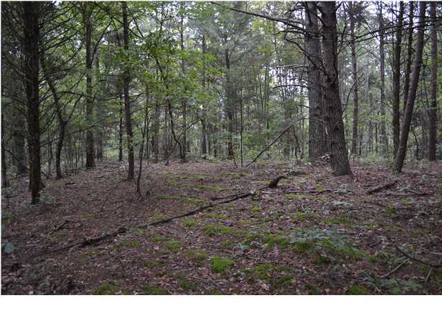 16438 May Road Sale Creek, TN 37373 - Photo 1 of 5 Primary Photo