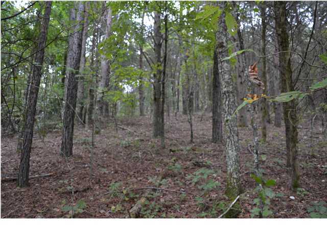 16438 May Road Sale Creek, TN 37373 - Photo 3 of 5 Additional Photo