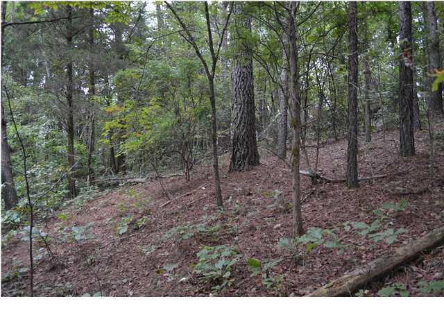 16438 May Road Sale Creek, TN 37373 - Photo 4 of 5 Additional Photo