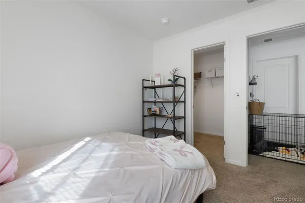 a bedroom with a bed and a couch