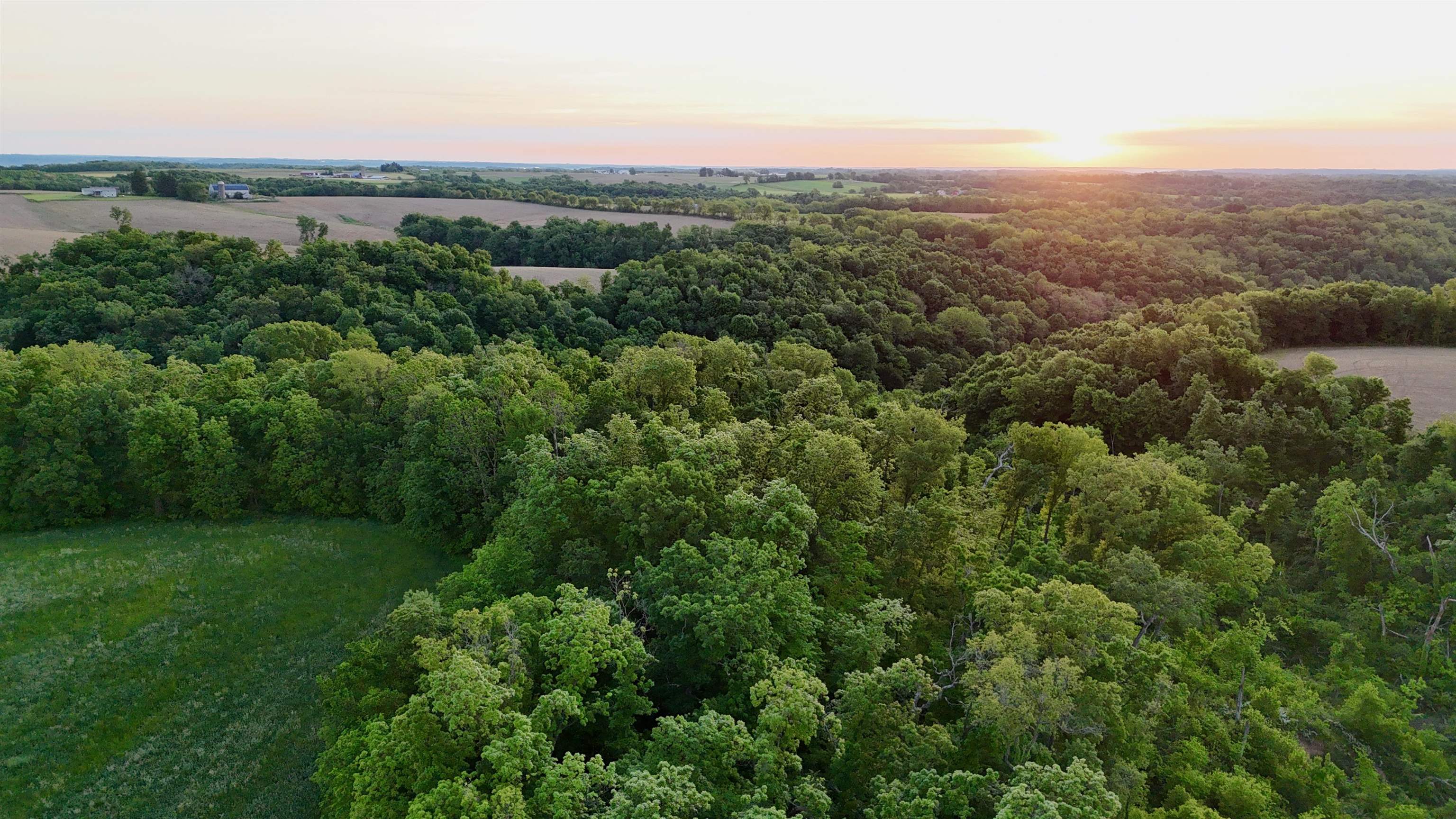 0 County T Boscobel, WI 53805 - Photo 10 of 30
