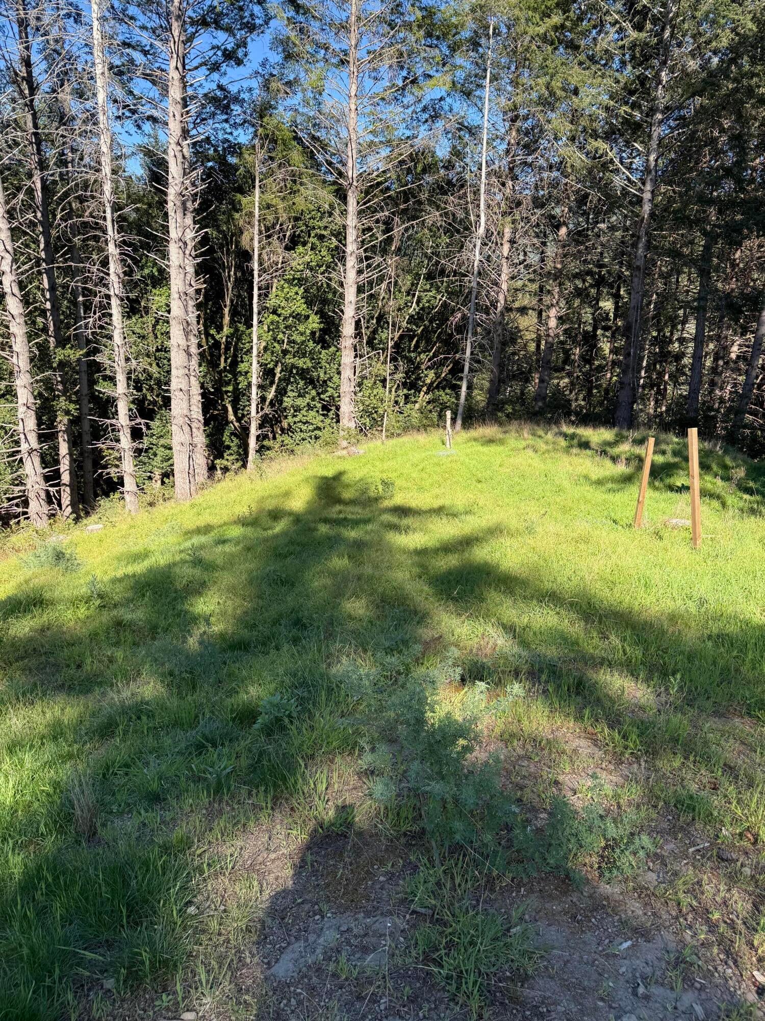 197-207 Ridge Road Shelter Cove, CA 95589 - Photo 7 of 8 Gallery Image 7