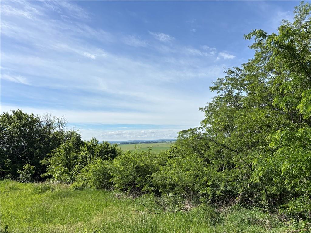1420 Treece Road Wathena, KS 66090 - Photo 3 of 9