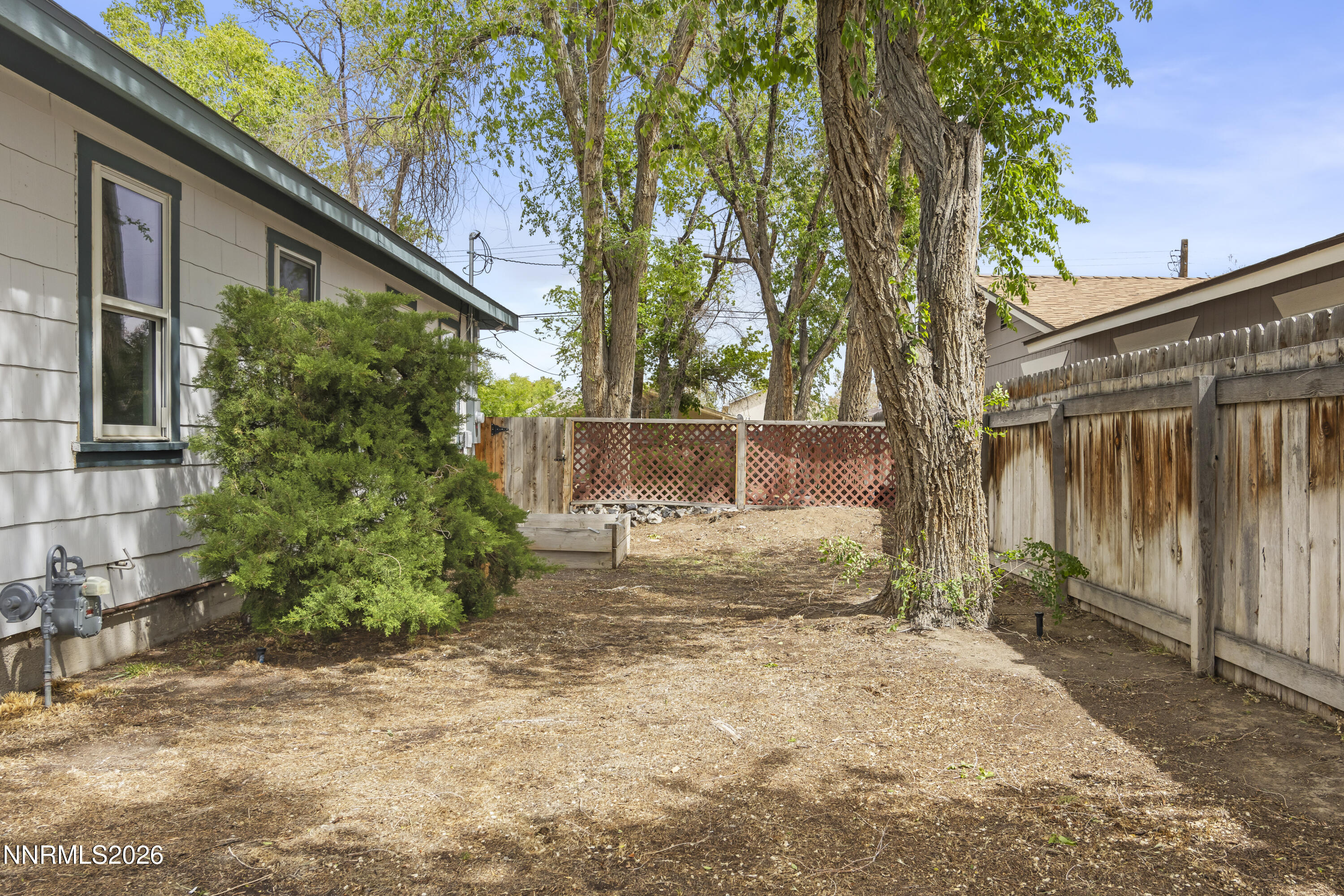 511 Churchill Street Fallon, NV 89406 - Photo 3 of 37 a view of a yard with plants and a large tree
