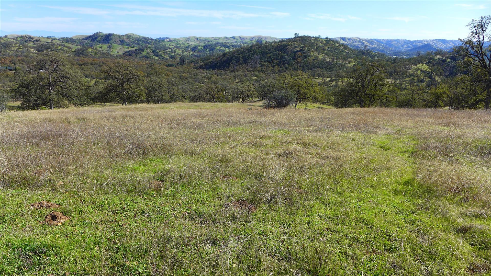 Lot 236 Fiddlers Road Igo, CA 96047 - Photo 1 of 23 1