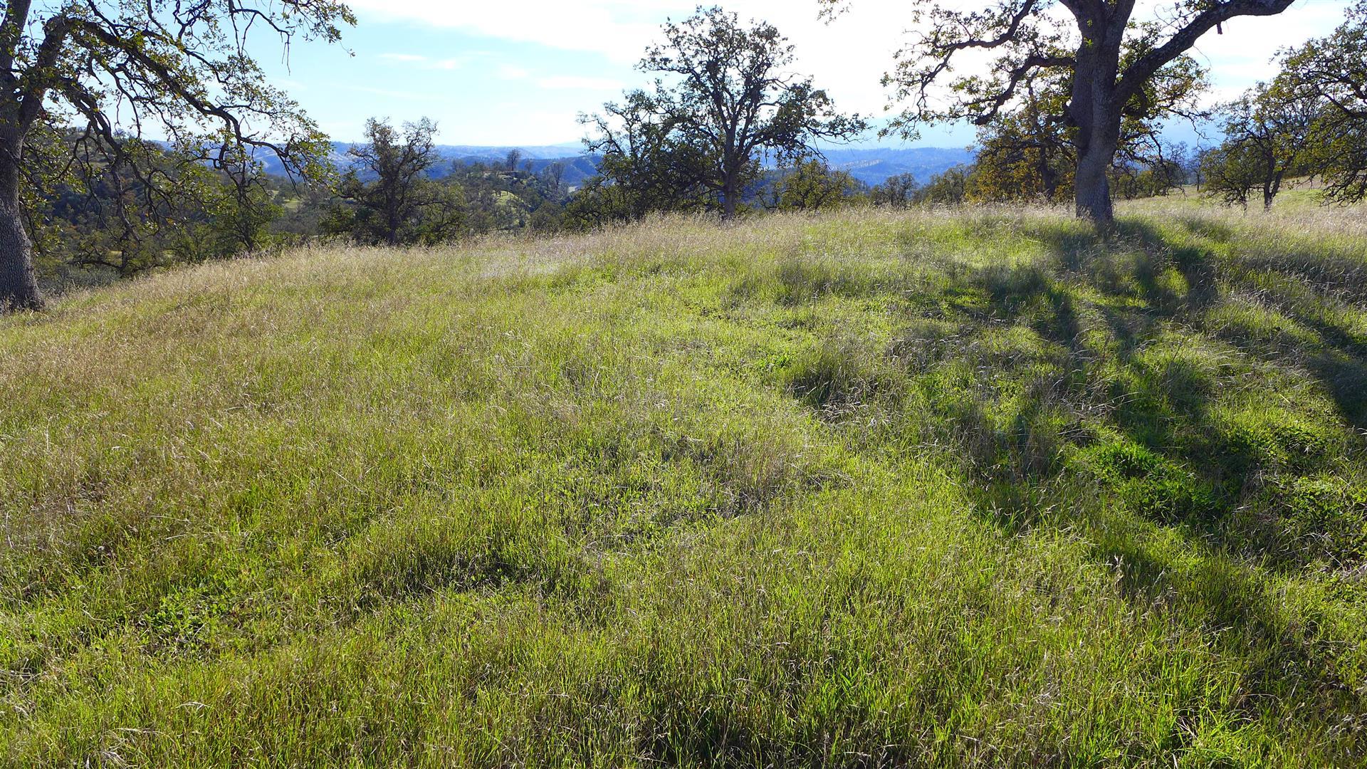 Lot 236 Fiddlers Road Igo, CA 96047 - Photo 11 of 23 P1010780