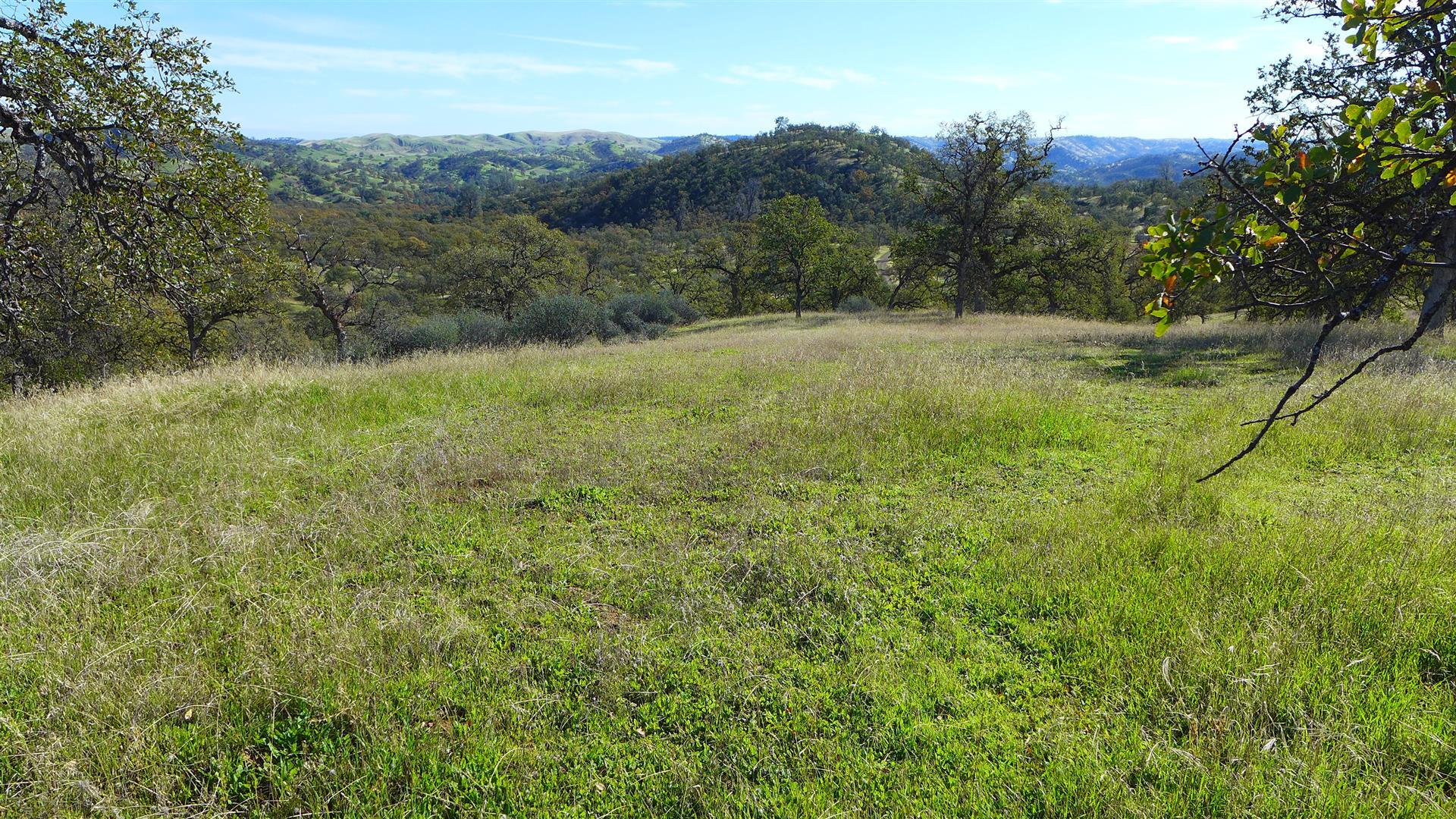 Lot 236 Fiddlers Road Igo, CA 96047 - Photo 12 of 23 P1010781