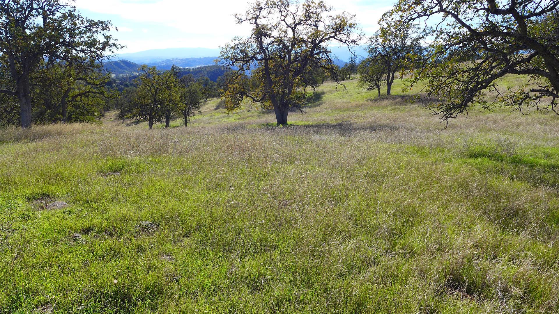 Lot 236 Fiddlers Road Igo, CA 96047 - Photo 13 of 23 P1010782
