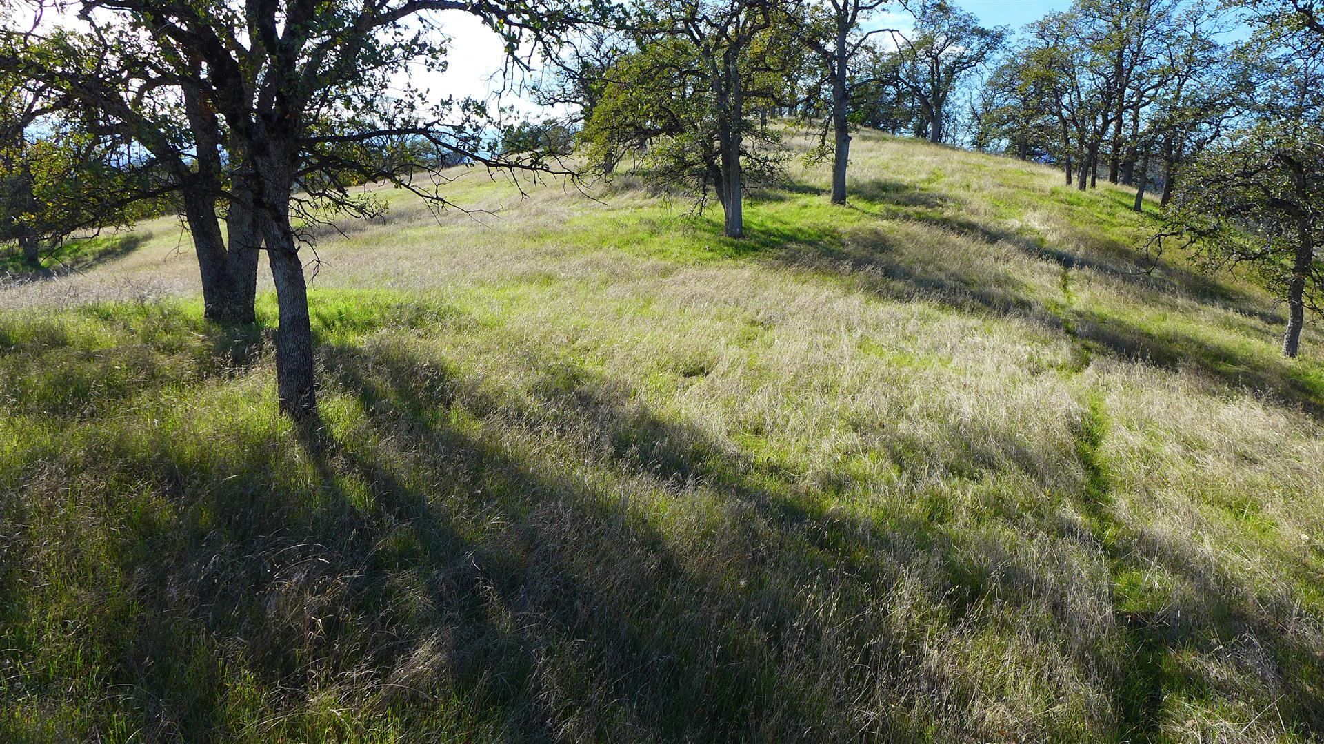 Lot 236 Fiddlers Road Igo, CA 96047 - Photo 14 of 23 P1010783