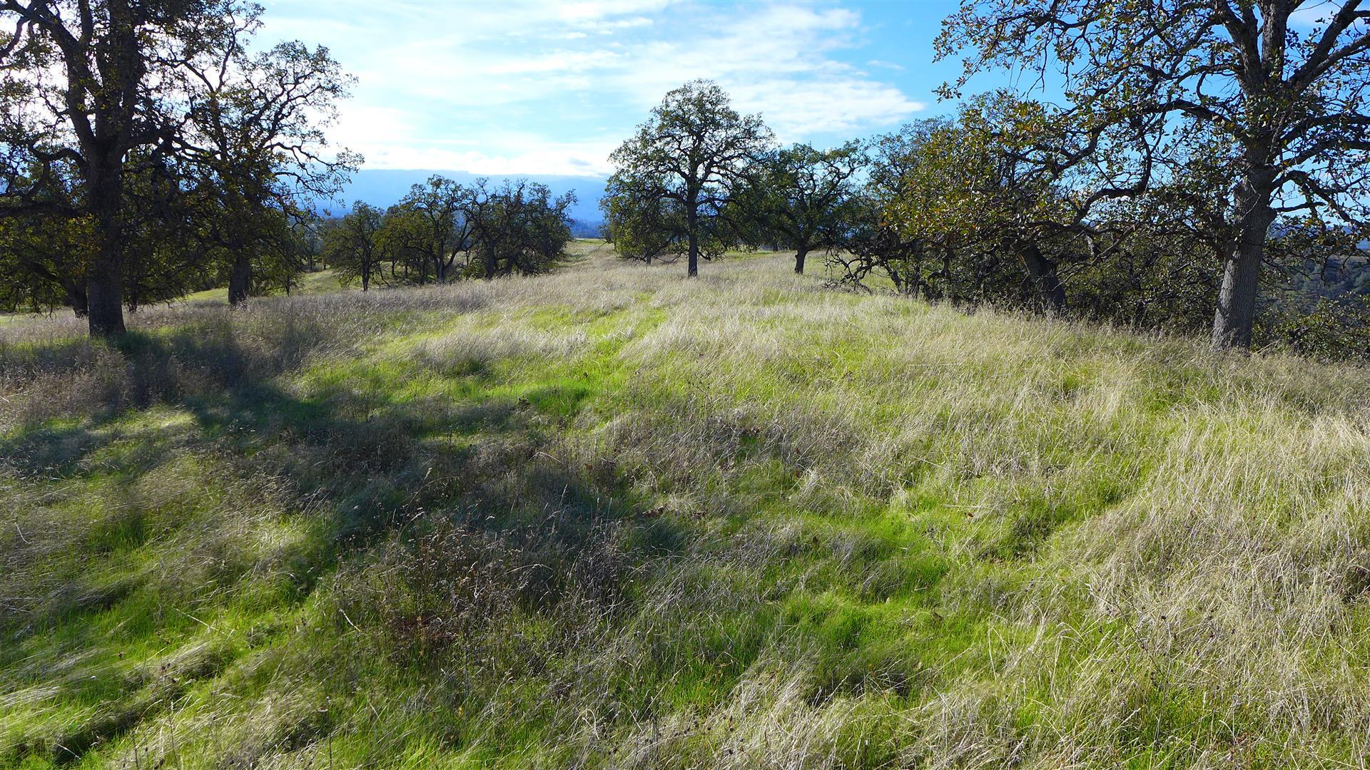 Lot 236 Fiddlers Road Igo, CA 96047 - Photo 15 of 23 P1010784
