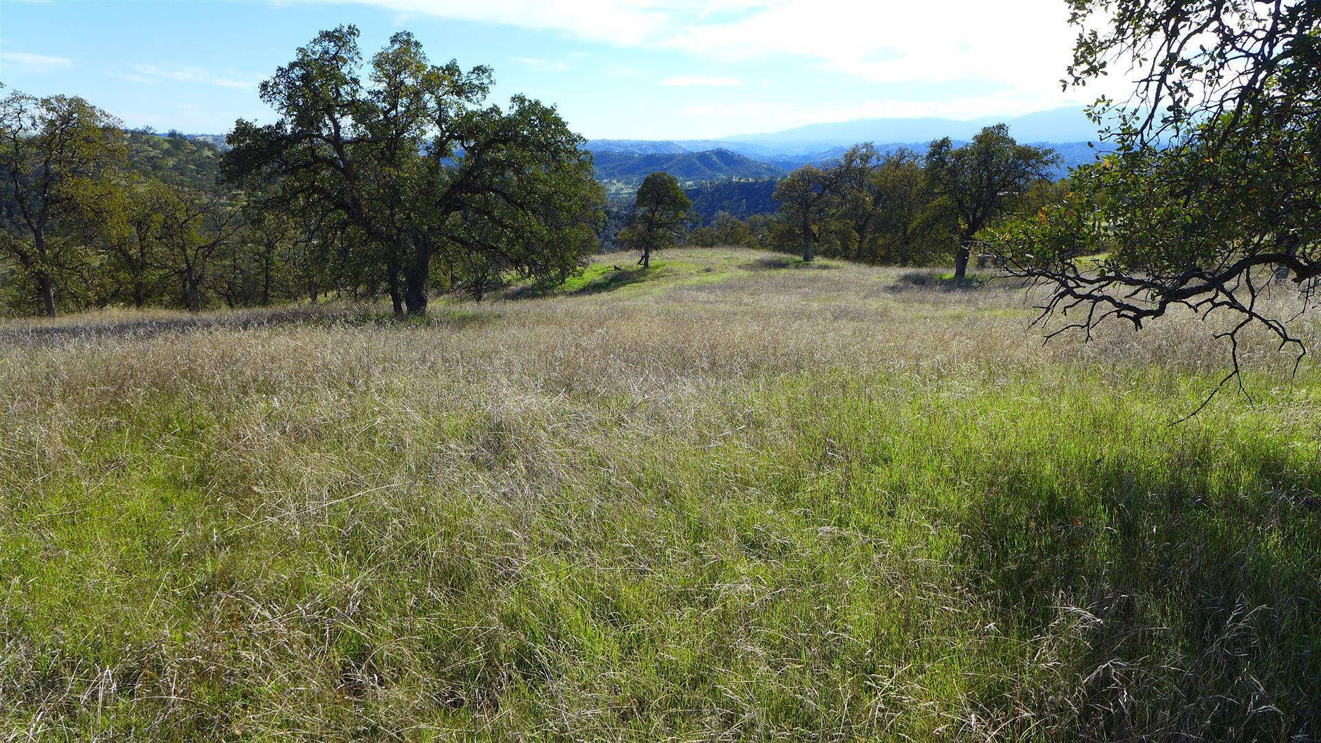 Lot 236 Fiddlers Road Igo, CA 96047 - Photo 16 of 23 P1010787