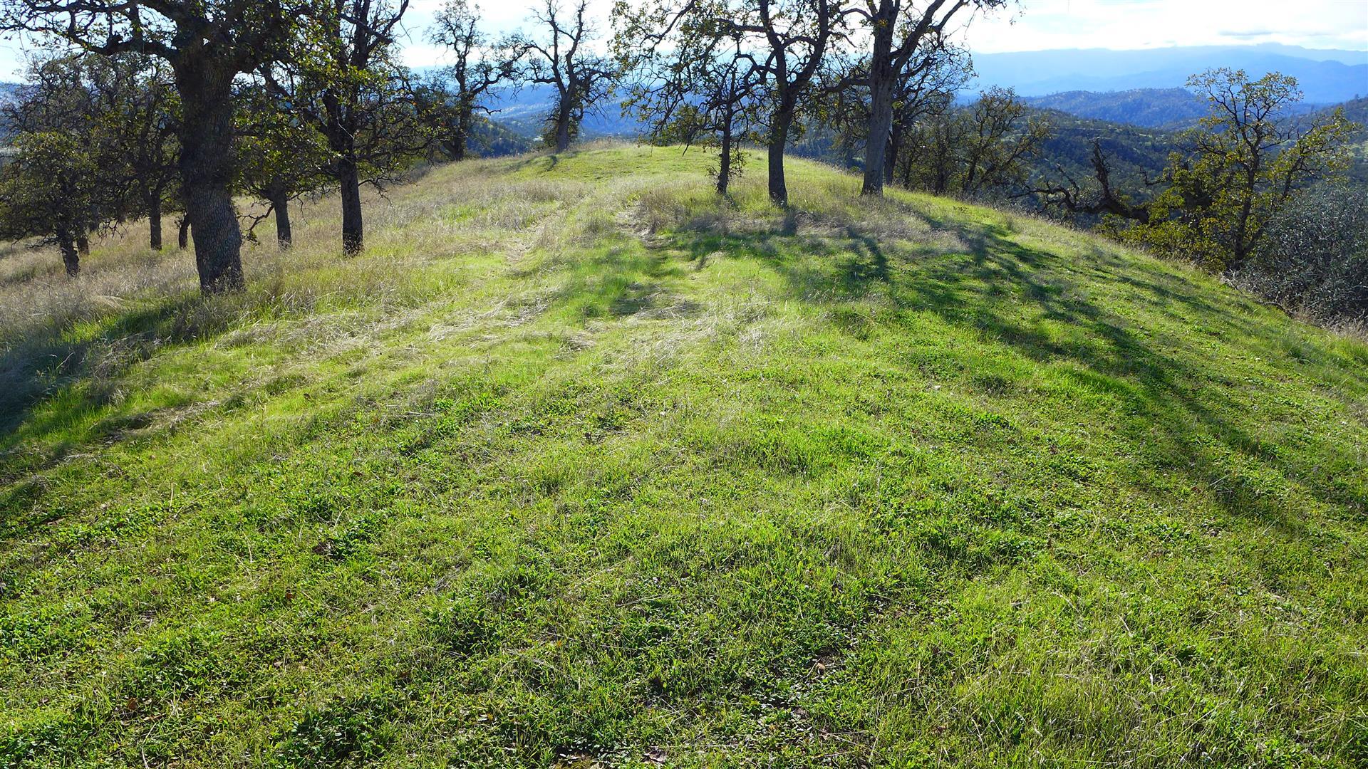 Lot 236 Fiddlers Road Igo, CA 96047 - Photo 17 of 23 P1010788