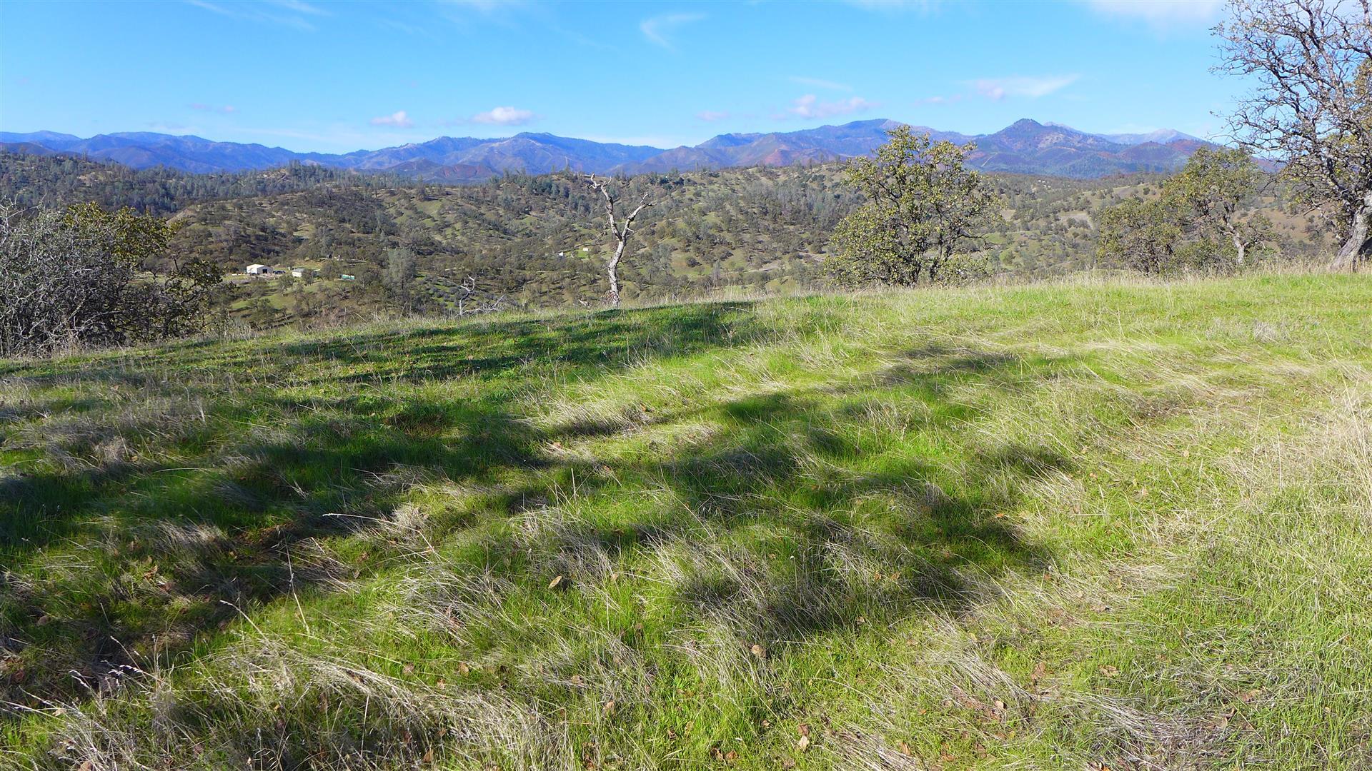 Lot 236 Fiddlers Road Igo, CA 96047 - Photo 18 of 23 P1010789
