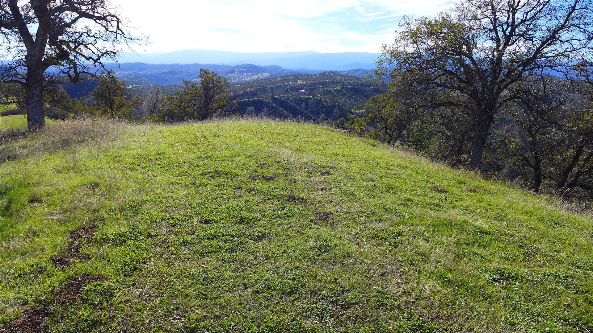 Lot 236 Fiddlers Road Igo, CA 96047 - Photo 19 of 23 P1010790