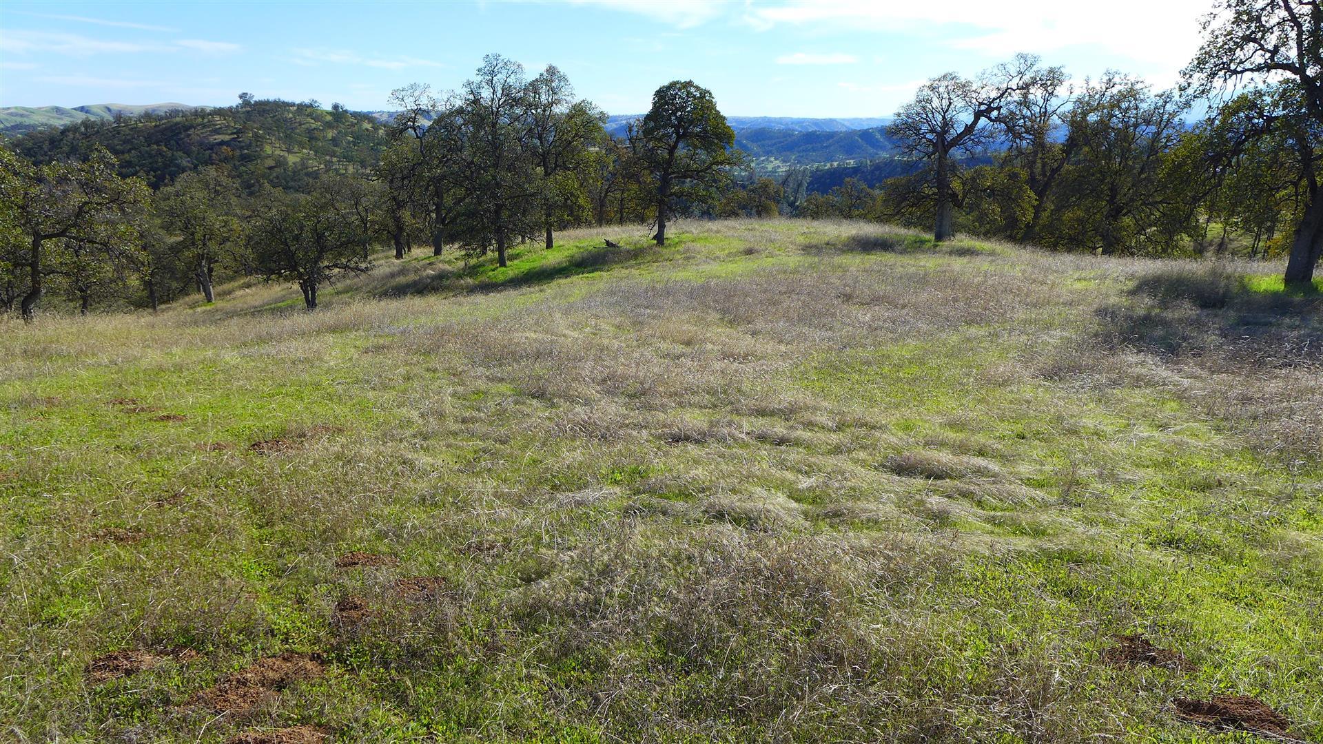 Lot 236 Fiddlers Road Igo, CA 96047 - Photo 20 of 23 P1010792