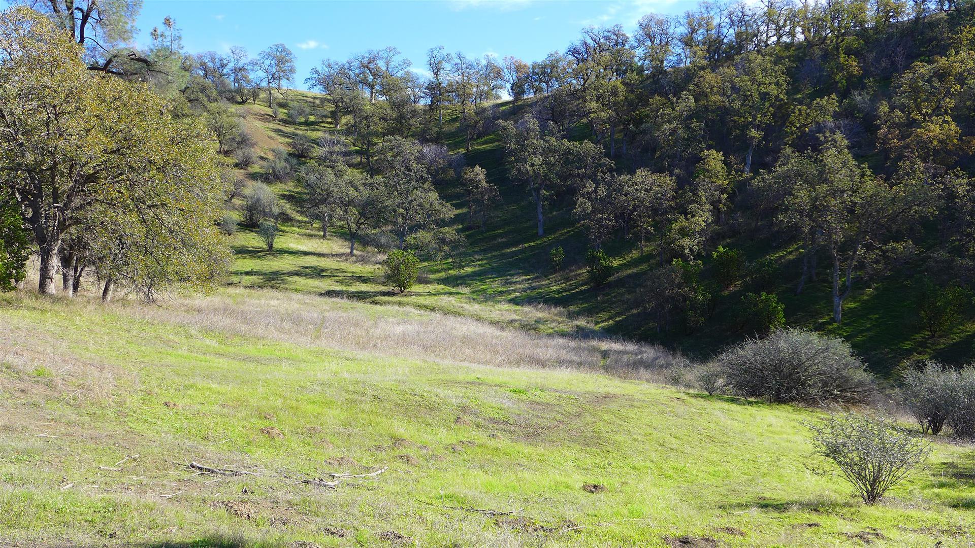Lot 236 Fiddlers Road Igo, CA 96047 - Photo 22 of 23 P1010794