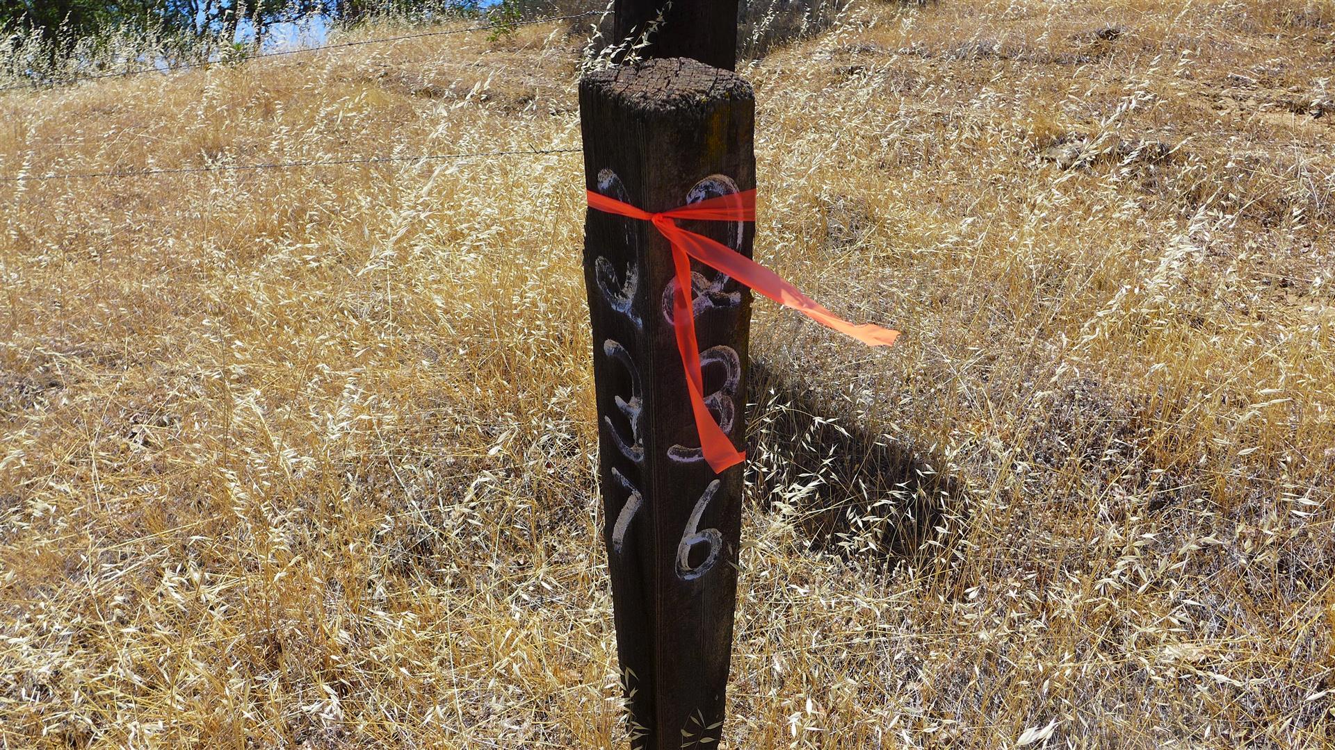 Lot 236 Fiddlers Road Igo, CA 96047 - Photo 23 of 23 P1060794