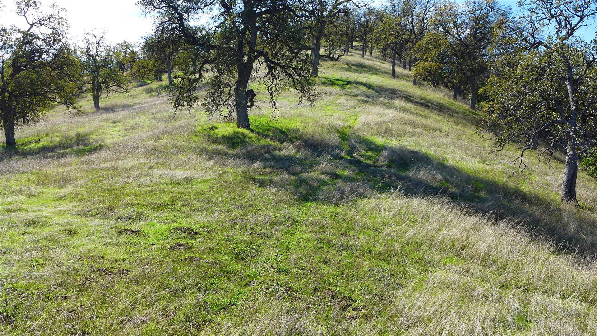 Lot 236 Fiddlers Road Igo, CA 96047 - Photo 7 of 23 P1010776