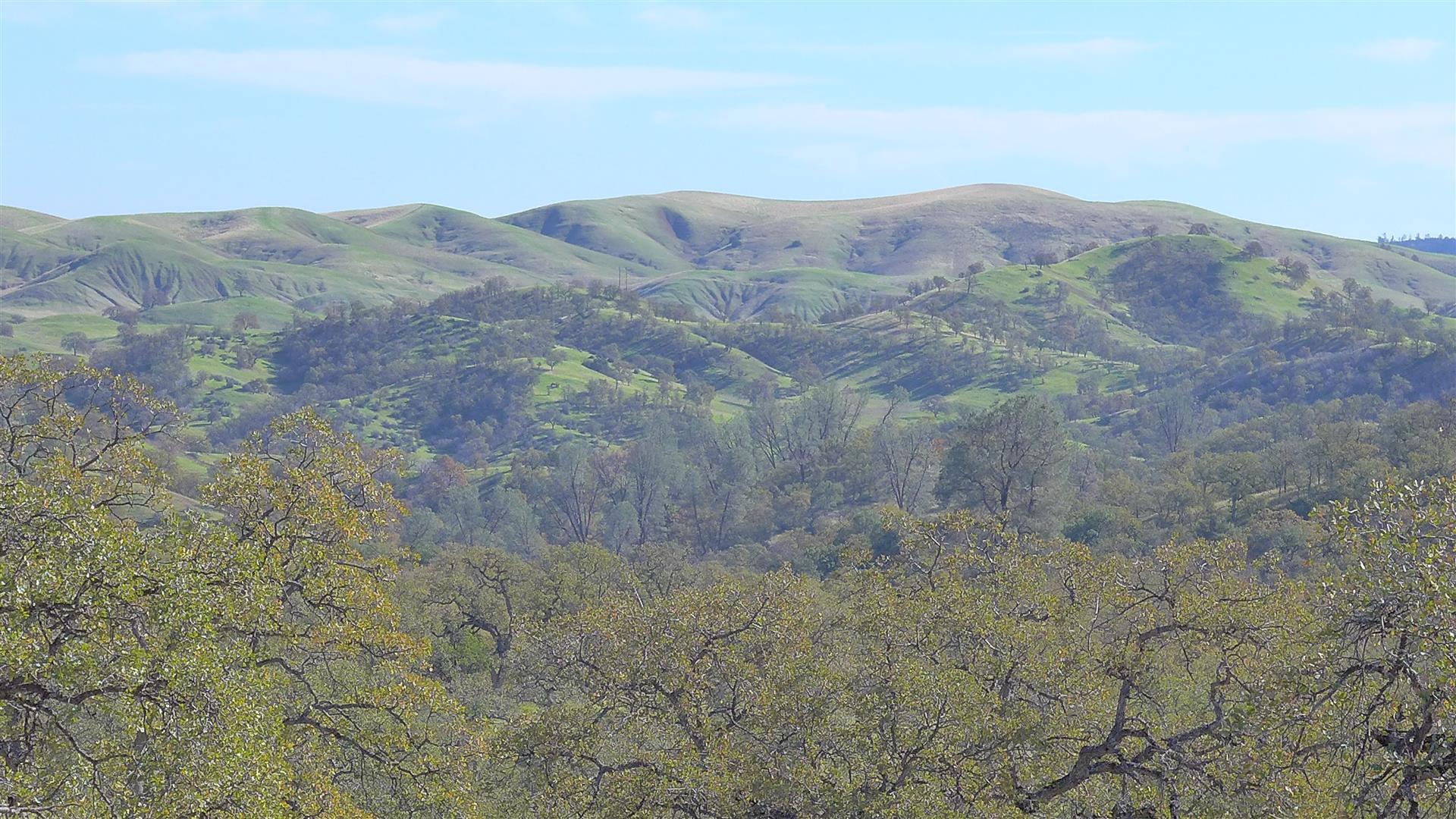 Lot 236 Fiddlers Road Igo, CA 96047 - Photo 8 of 23 P1010777