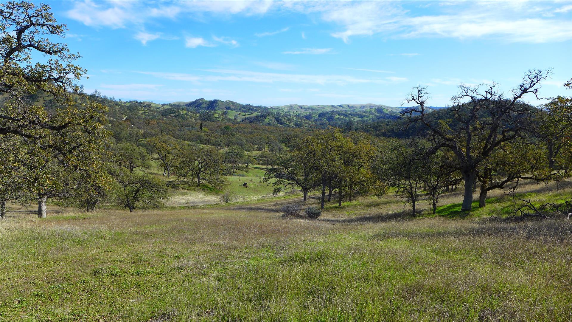 Lot 236 Fiddlers Road Igo, CA 96047 - Photo 9 of 23 P1010778