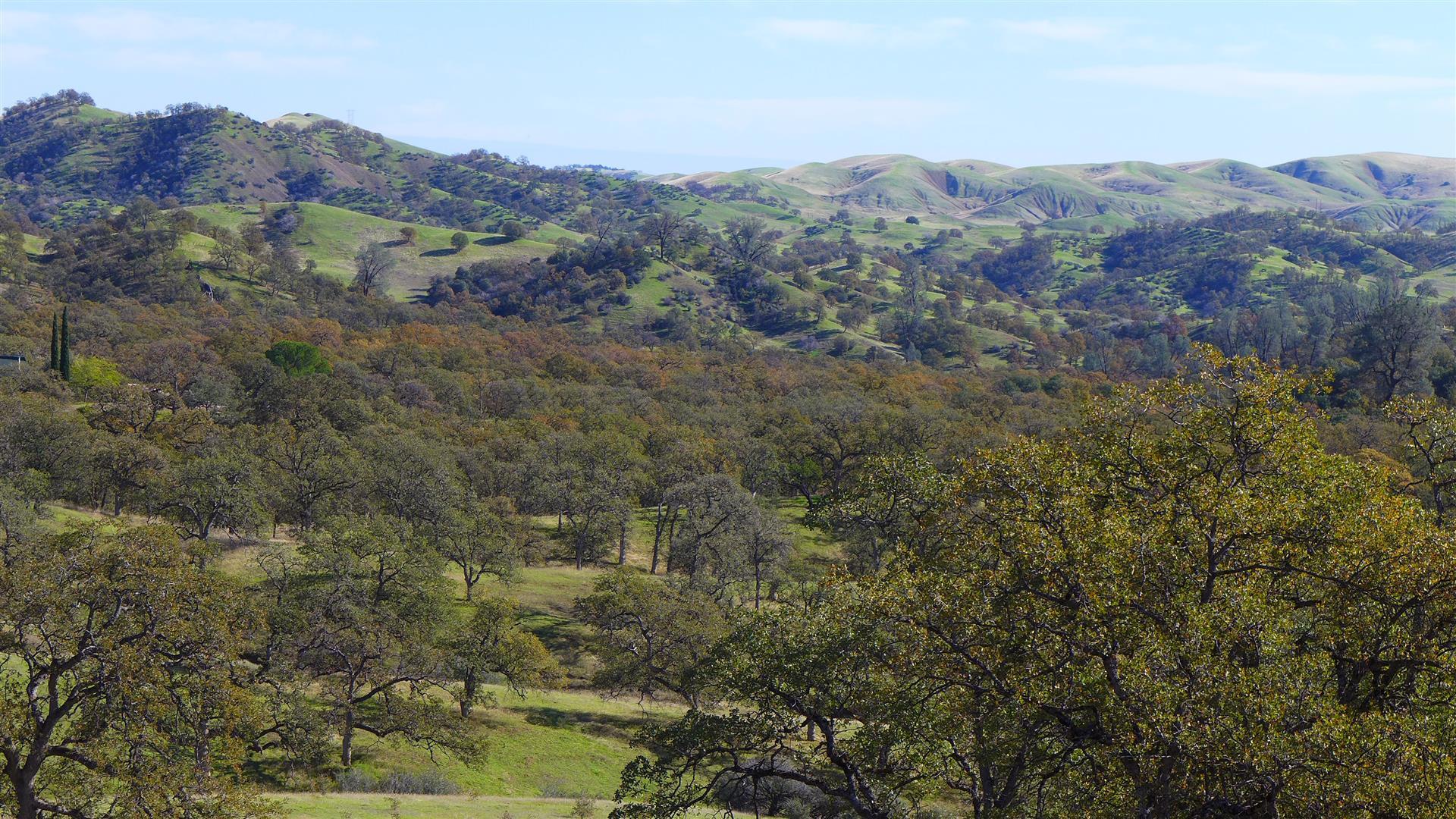 Lot 236 Fiddlers Road Igo, CA 96047 - Photo 10 of 23 P1010779